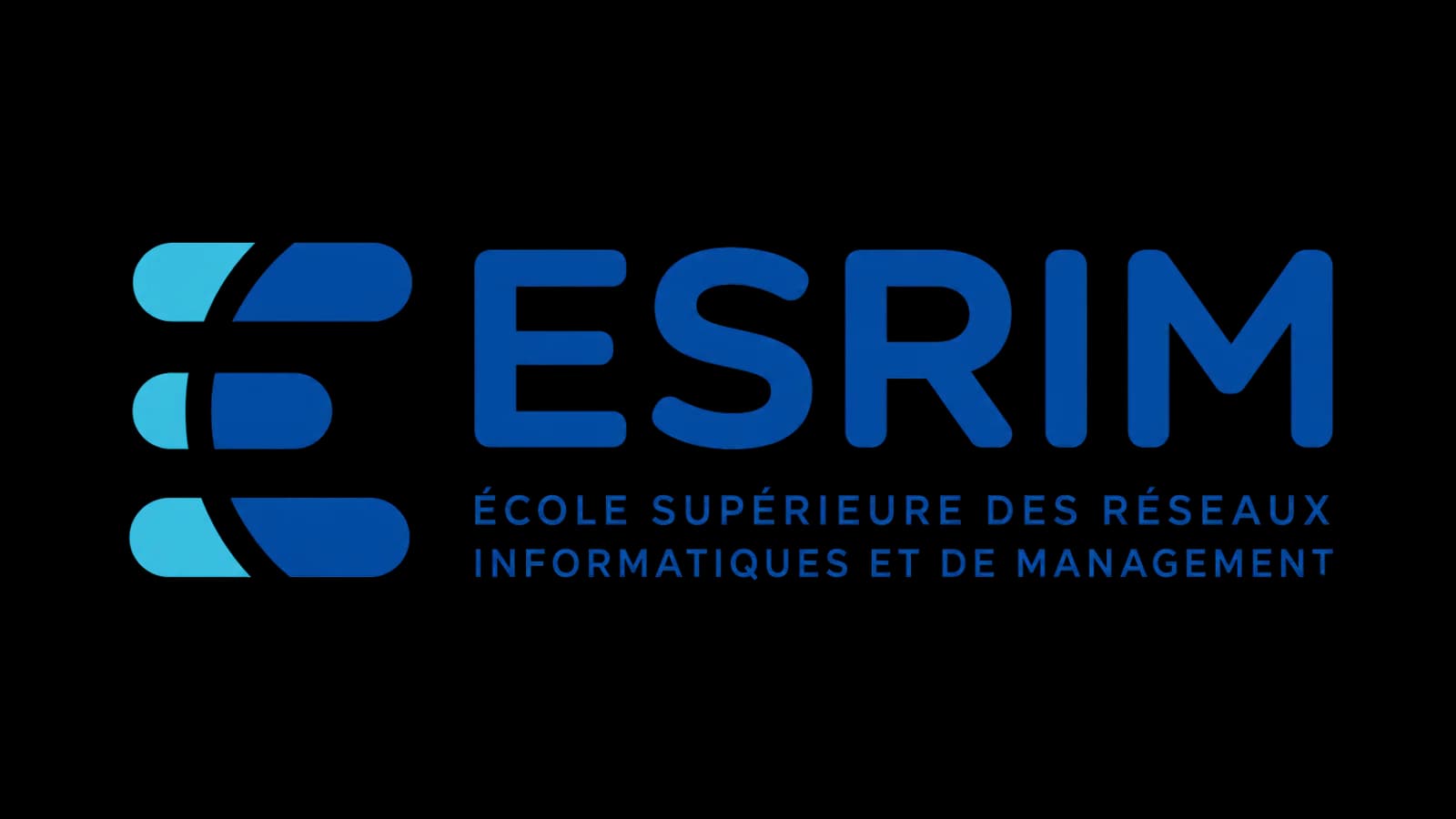 Logo de l’ESRIM